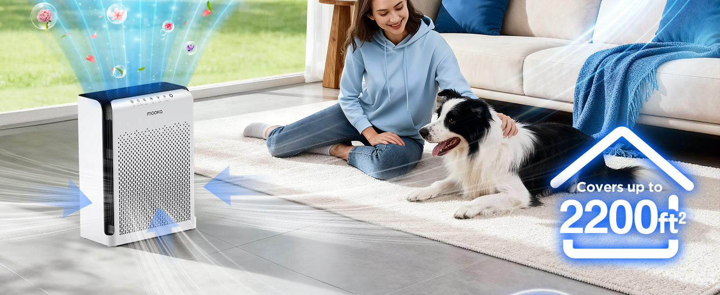 Home large rooms air purifier covers 2200ft², perfect for whole house pets hair Odor Pollen Smoke
