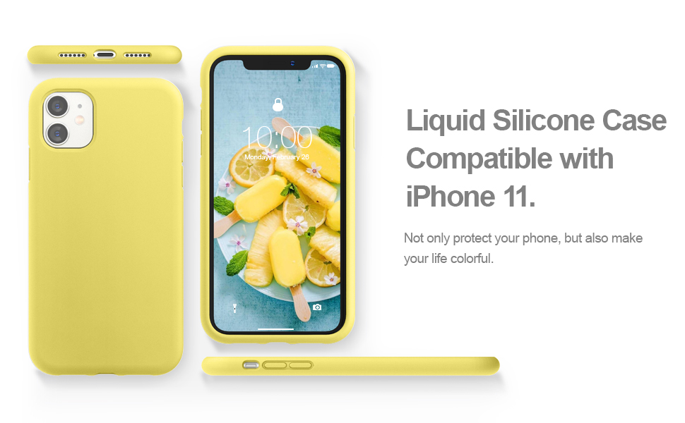 iPhone 11 cover