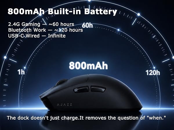 mouse