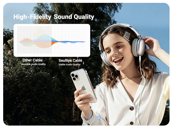 iphone aux adapter