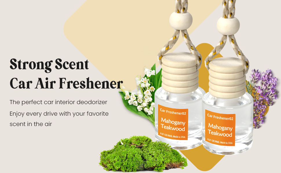 car air freshener