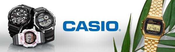 Casio Banner