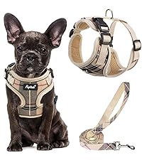 https://m.media-amazon.com/images/S/aplus-media-library-service-media/9a009ccd-e62e-4da0-8d5e-5d782b6e9cf5.__CR0,0,1400,1575_PT0_SX200_V1___.jpg