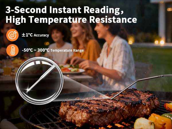 Meat Thermometer