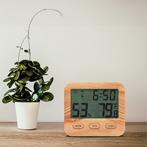 room temperature monitor