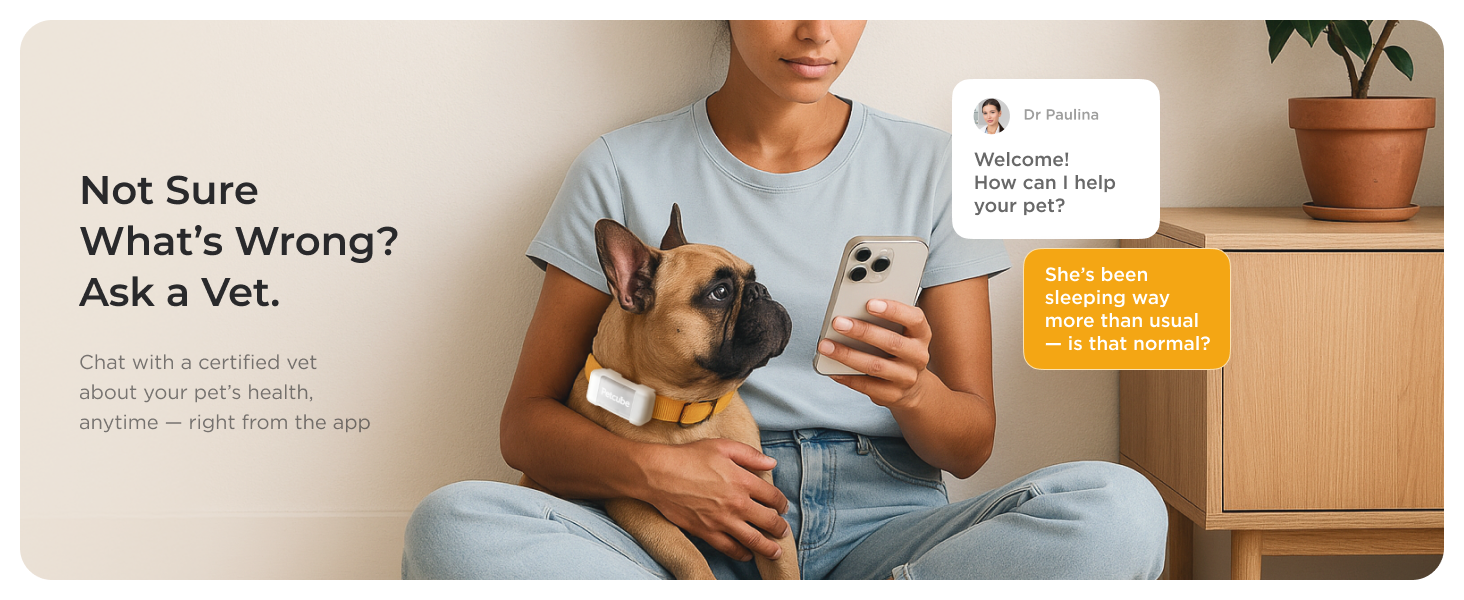 Petcube GPS Tracker for dogs