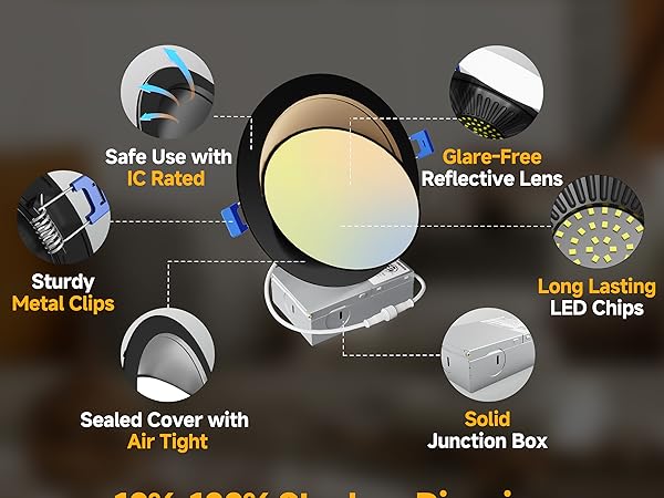 eyeball directional recessed light