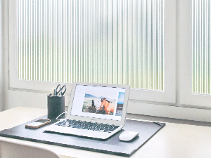 window clings