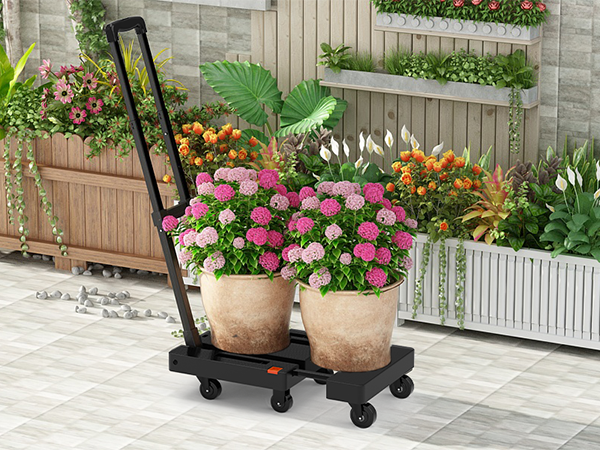 hand truck