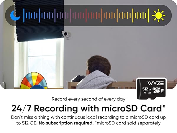 Wyze Cam OG microSD