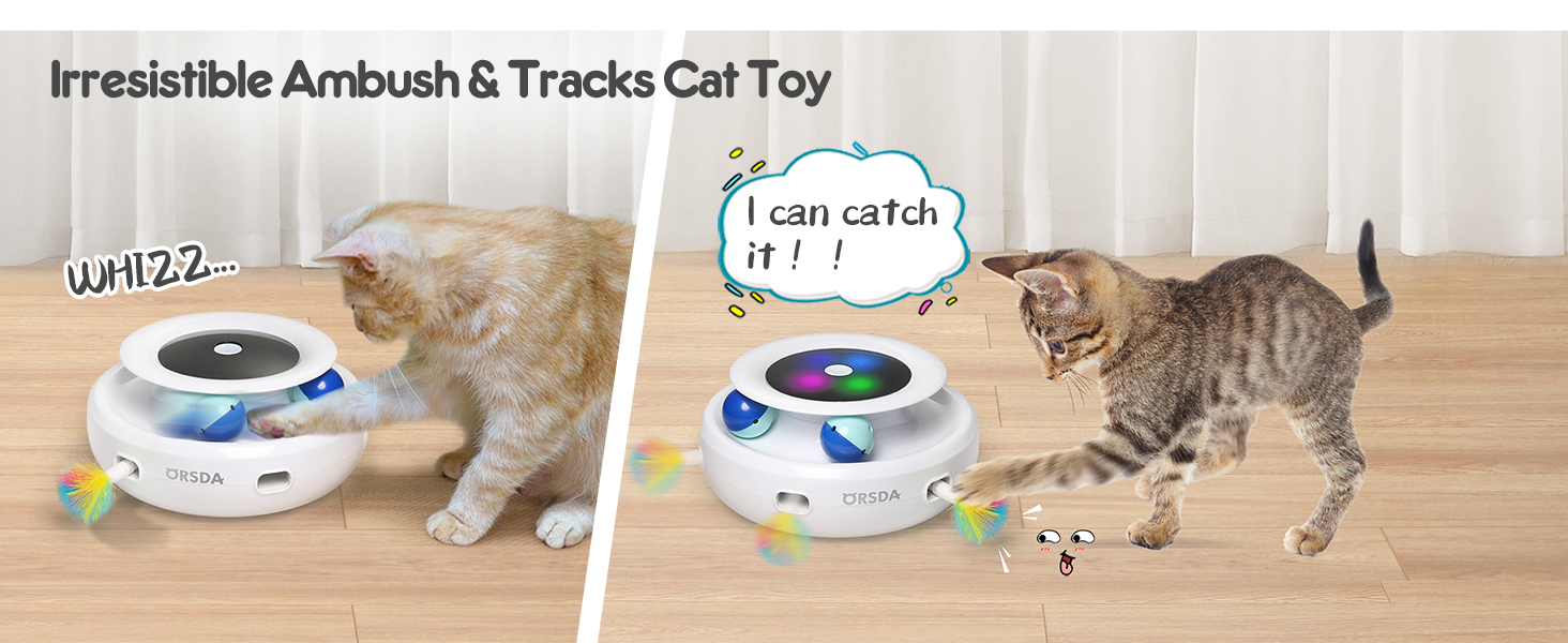 interactive cat toy