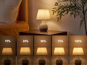 90016 A+ 600 dimmable table lamp