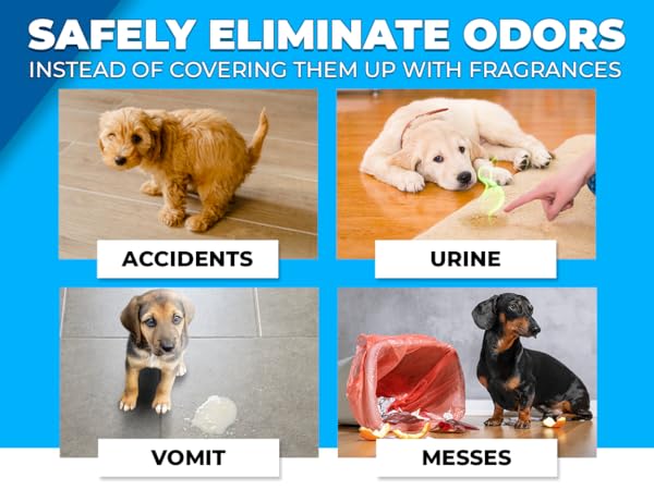 Safely eliminate odors