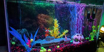 7.5inch aquarium lights