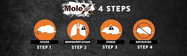 How MoleX Works
