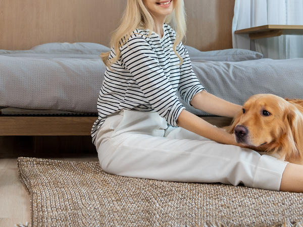 air purifiers for home large room
