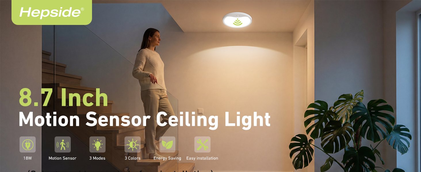 Motion Sensor Ceiling Light