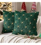 Green Christmas Decor-Winter Throw Pillow Covers 18x18in Set of 2, Cute Soft Plush Faux Fur Pillo...