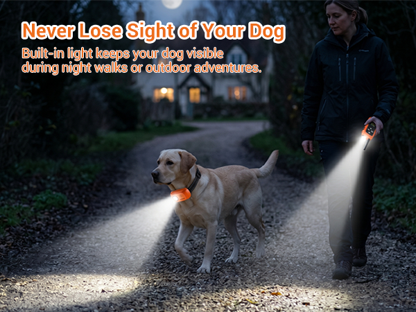 dog training collar with remote