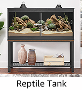 reptile tank