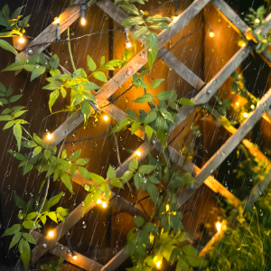 Decorative outdoor lighting display. Green maple leaves intertwined with string lights on a wooden lattice structure, creating a warm ambiance.