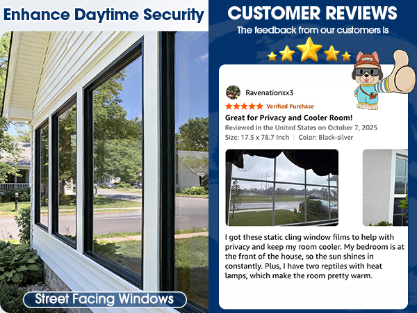 daytime privacy window film