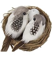 Simulation Bird Nest with Bird and Eggs Decor,Fake Foam Feather Birds,Artificial Birds,for DIY Cr...