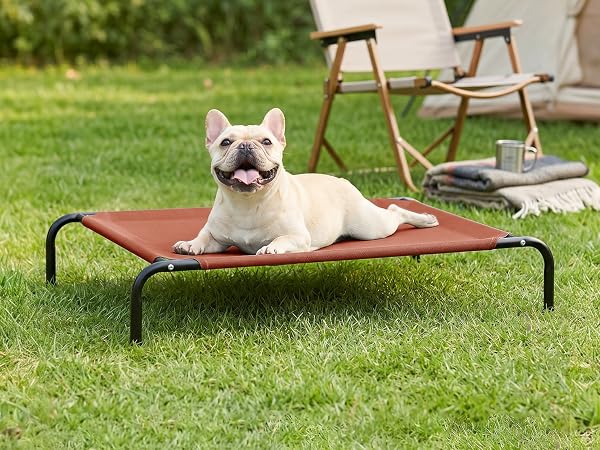 raised dog bed