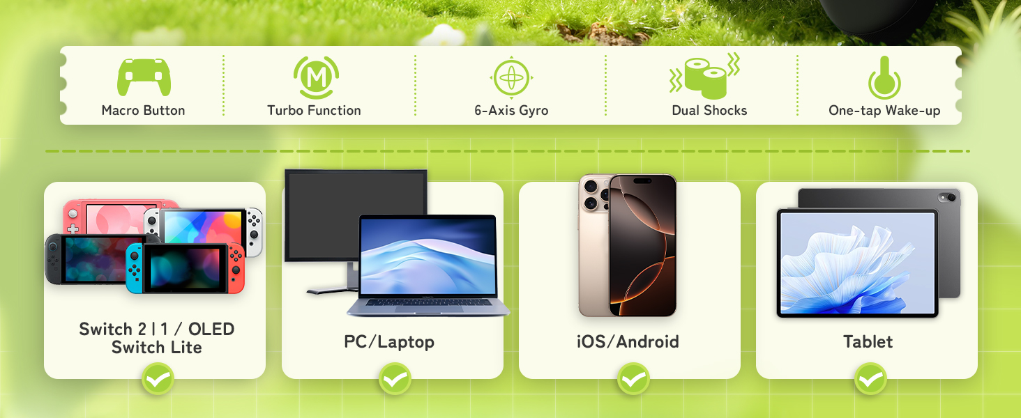 Device compatibility chart showing icons and labels for: 'Switch Lite', 'PC Laptop', 'iOS Android', and 'Tablet' with corresponding device images below each category.