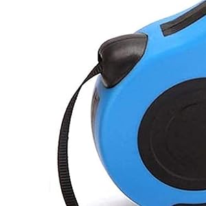 Dog Leash
