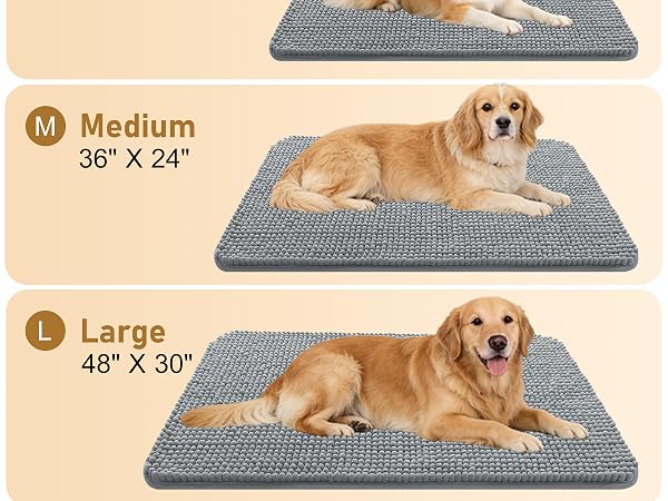 DOG DOOR MAT