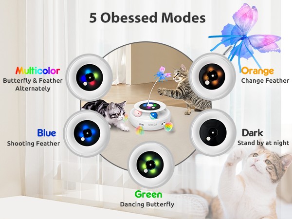 Cat Toys
