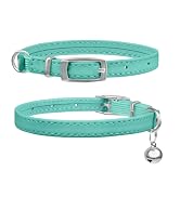 leather cat collar