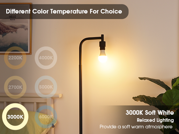 3000K led light bulbs
