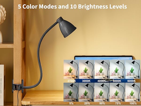 Desk Lamp Reading Light LED Clamp Lamp Flexible Gooseneck Clip on Light for Bed Bedside