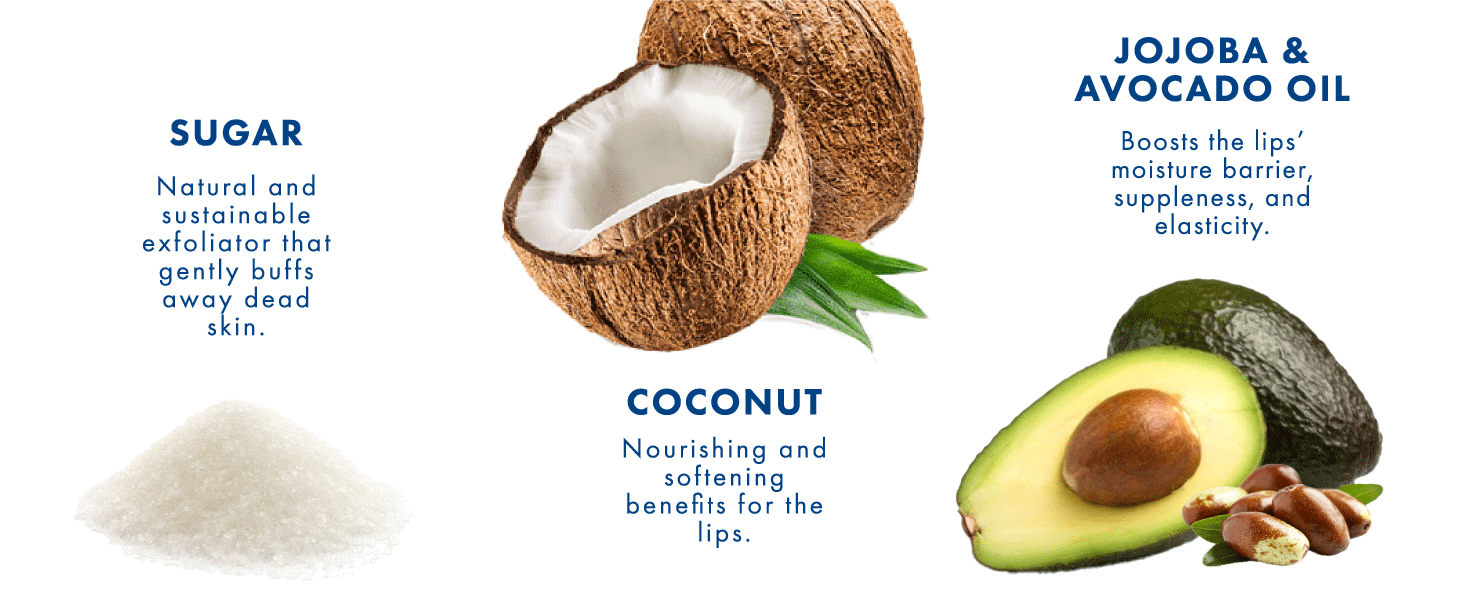 Coconut Sorbet Lip Scrub Ingredients All Natural Vegan Sugar Jojoba Oil Coconut
