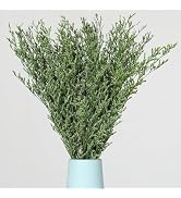 Dried Flowers Bouquet, Dry Caspia Flower Bundle, Floral Lavender, Babys Breath Flowers Arrangemen...