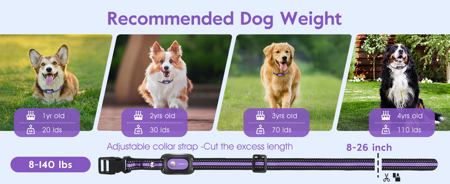 dog training collar with remote