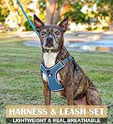 dog harness and leash set for small dogs