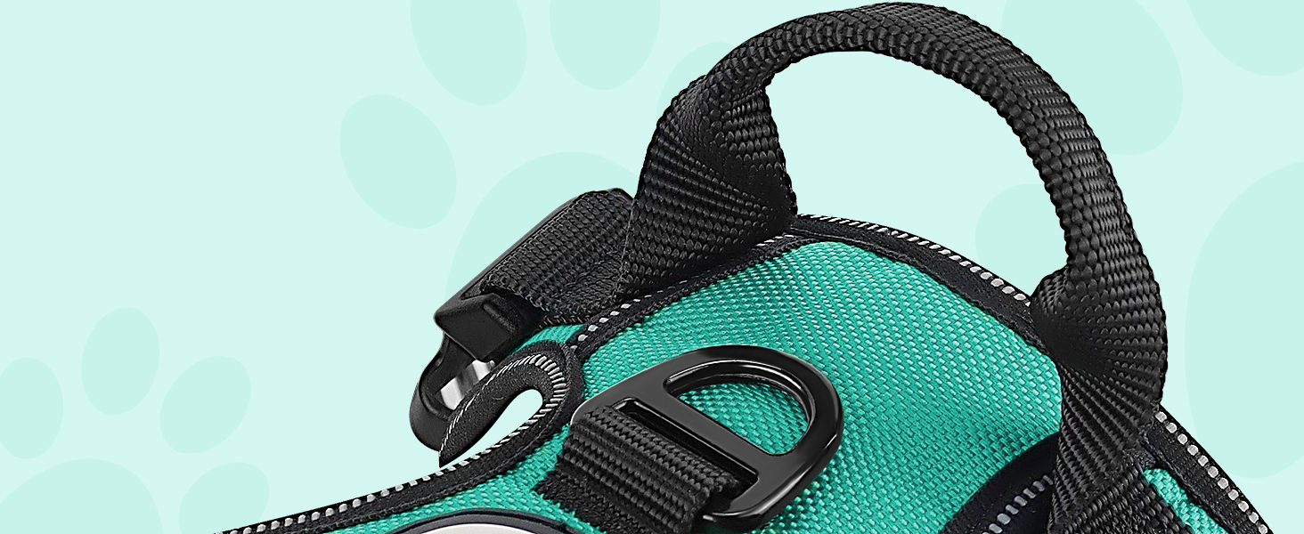 dog harness