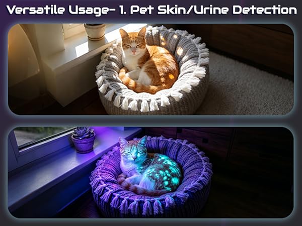 pet skin/urine detection