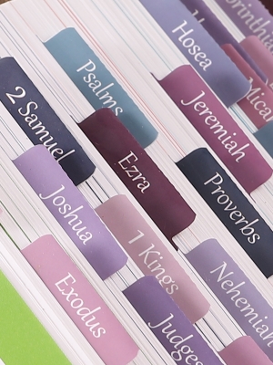 bible tabs