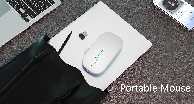 Portable Mouse