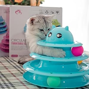 cat toy