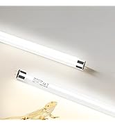 2 Pack T5 HO 10.0 UVB Reptile Bulb 8W, 12-Inch UVA UVB Light for Reptiles, Fluorescent Lamp Tube ...