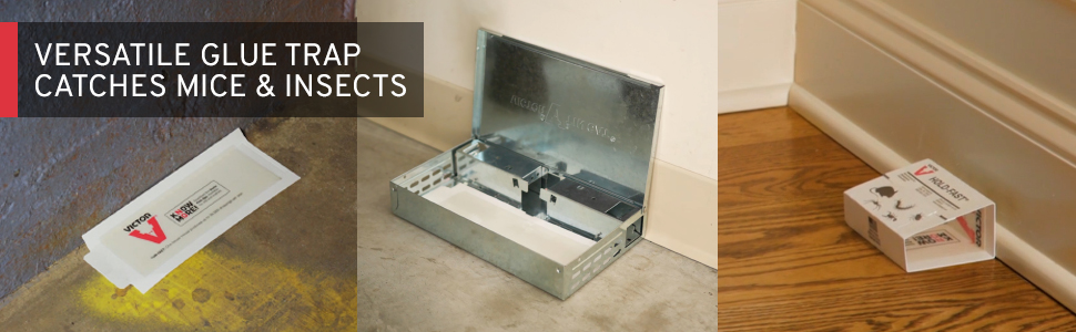 glue traps, mouse trap, insect trap, sticky trap, glue board, mouse glue board, mouse glue trap