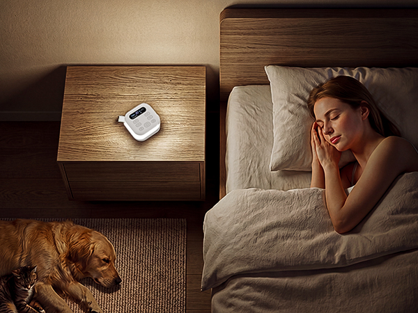 Pet Sleep Bedroom