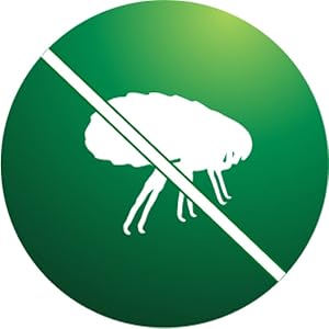 Advantage kills fleas on contact, so they don't have to bite your cat to die.