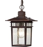 Nuvo 60/4955 One Light Hanging Lantern, UNKNOWN, Bronze/Dark
