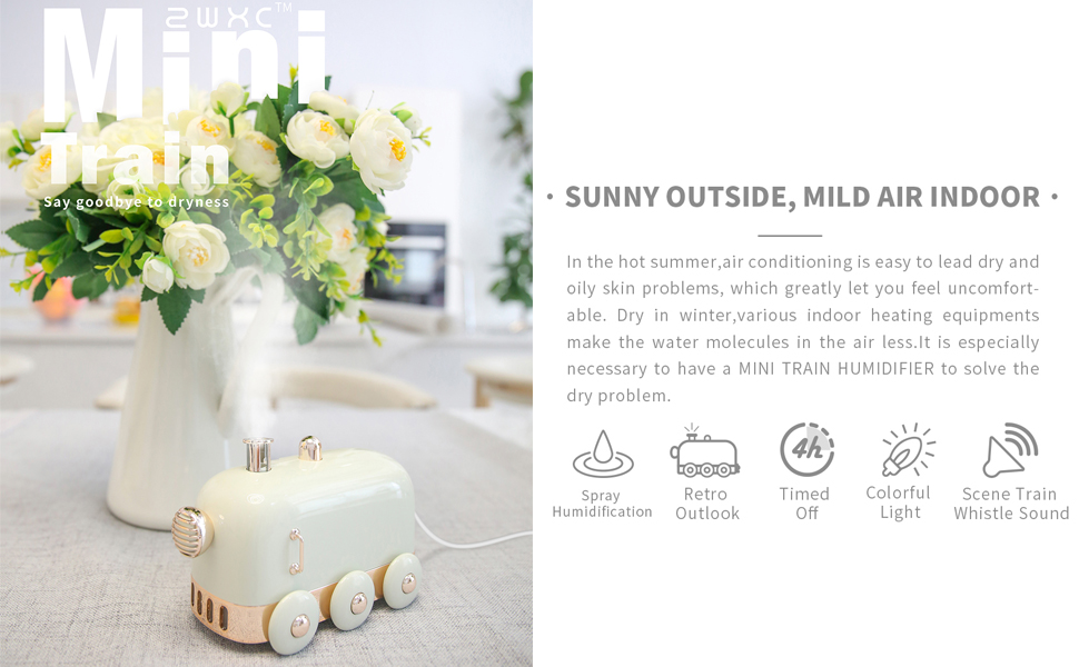 Mini Train Humidifier